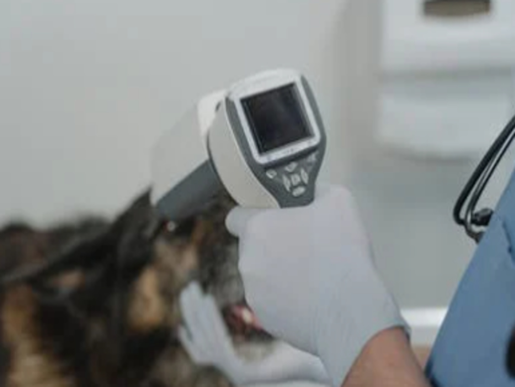 Warmtebeeldcamera's: precisieproductie stimuleert de toekomst van infraroodtechnologie